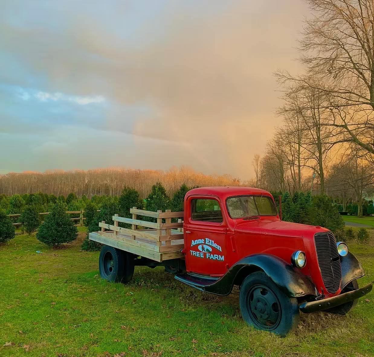 Vintage red truck at sunset at a Christmas tree farm in Central NJ